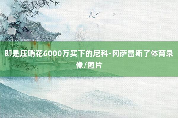 即是压哨花6000万买下的尼科-冈萨雷斯了体育录像/图片