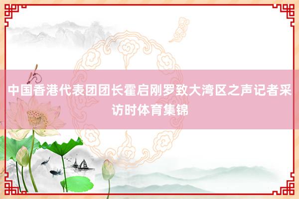 中国香港代表团团长霍启刚罗致大湾区之声记者采访时体育集锦