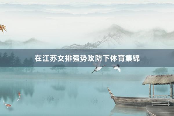 在江苏女排强势攻防下体育集锦