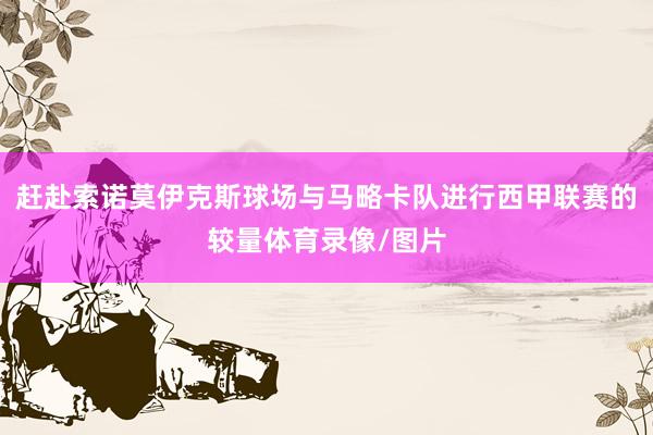 赶赴索诺莫伊克斯球场与马略卡队进行西甲联赛的较量体育录像/图片