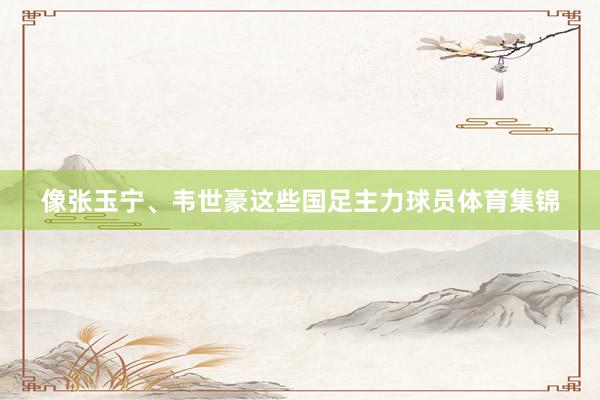 像张玉宁、韦世豪这些国足主力球员体育集锦