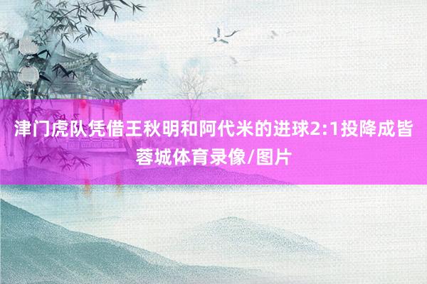 津门虎队凭借王秋明和阿代米的进球2:1投降成皆蓉城体育录像/图片