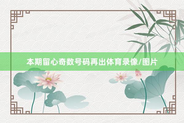 本期留心奇数号码再出体育录像/图片