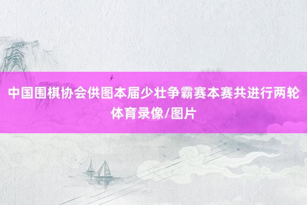 中国围棋协会供图本届少壮争霸赛本赛共进行两轮体育录像/图片