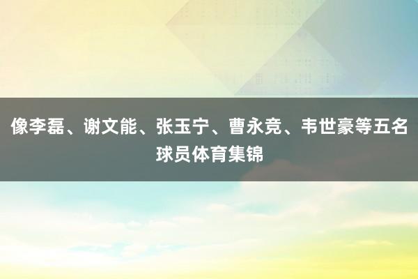 像李磊、谢文能、张玉宁、曹永竞、韦世豪等五名球员体育集锦