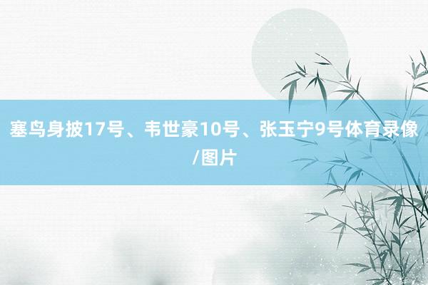 塞鸟身披17号、韦世豪10号、张玉宁9号体育录像/图片