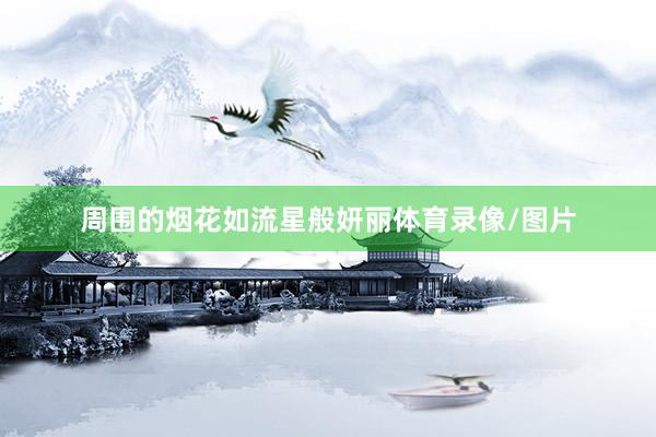 周围的烟花如流星般妍丽体育录像/图片