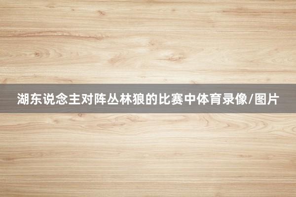 湖东说念主对阵丛林狼的比赛中体育录像/图片