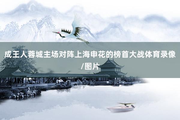 成王人蓉城主场对阵上海申花的榜首大战体育录像/图片