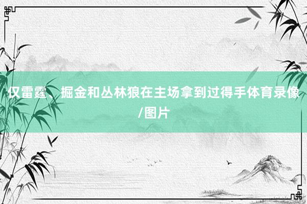 仅雷霆、掘金和丛林狼在主场拿到过得手体育录像/图片