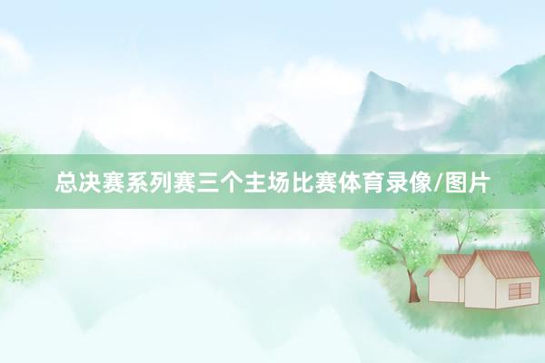 总决赛系列赛三个主场比赛体育录像/图片