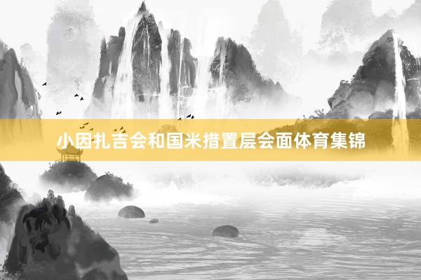 小因扎吉会和国米措置层会面体育集锦