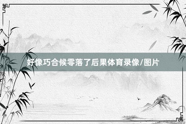 好像巧合候零落了后果体育录像/图片
