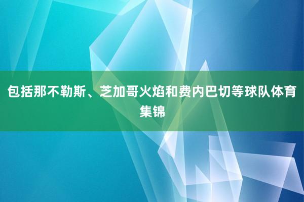 包括那不勒斯、芝加哥火焰和费内巴切等球队体育集锦
