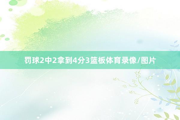 罚球2中2拿到4分3篮板体育录像/图片