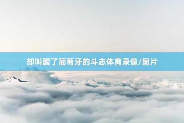 却叫醒了葡萄牙的斗志体育录像/图片