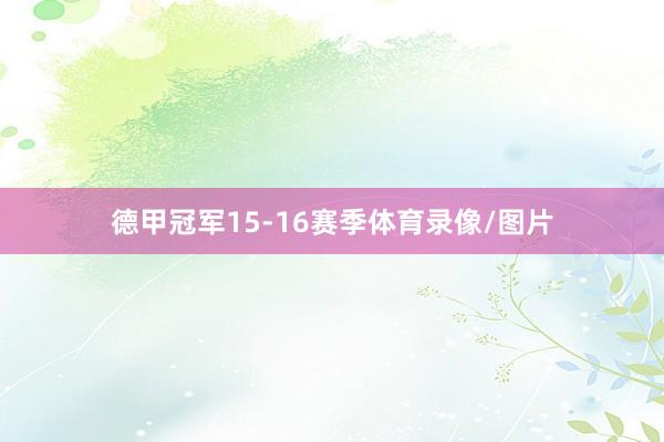 德甲冠军15-16赛季体育录像/图片