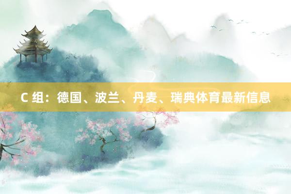 C 组：德国、波兰、丹麦、瑞典体育最新信息