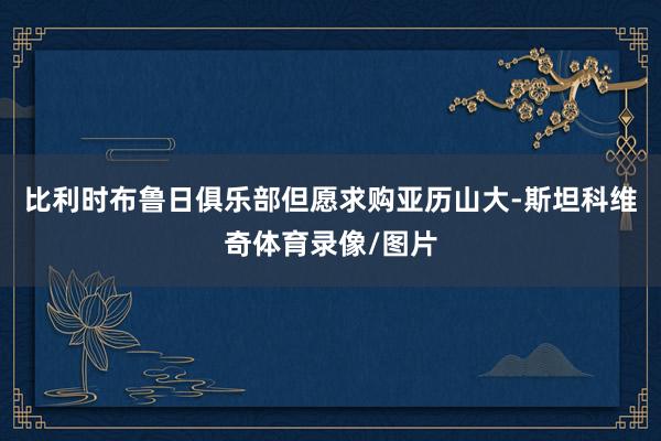 比利时布鲁日俱乐部但愿求购亚历山大-斯坦科维奇体育录像/图片