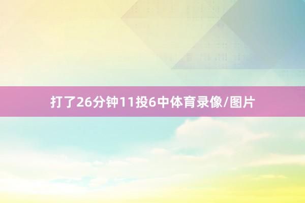 打了26分钟11投6中体育录像/图片