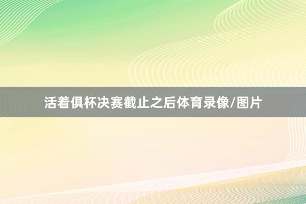 活着俱杯决赛截止之后体育录像/图片