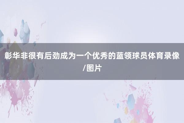 彰华非很有后劲成为一个优秀的蓝领球员体育录像/图片