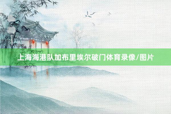 上海海港队加布里埃尔破门体育录像/图片