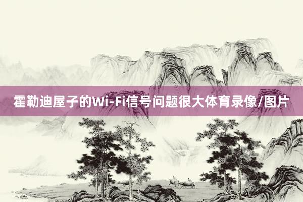 霍勒迪屋子的Wi-Fi信号问题很大体育录像/图片