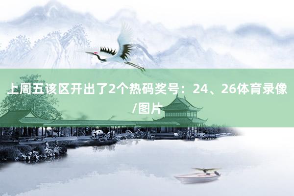 上周五该区开出了2个热码奖号:24、26体育录像/图片