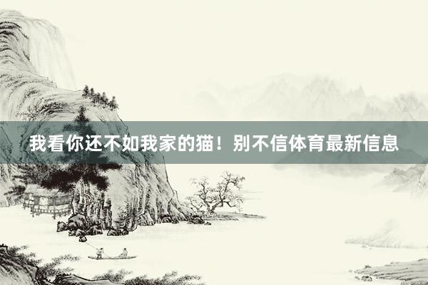 我看你还不如我家的猫！别不信体育最新信息