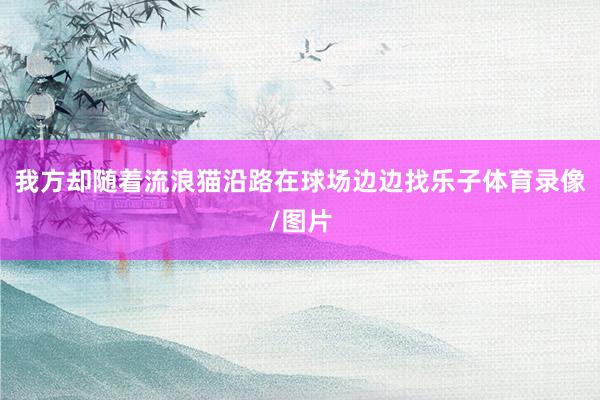 我方却随着流浪猫沿路在球场边边找乐子体育录像/图片