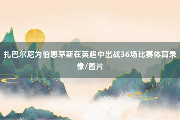 扎巴尔尼为伯恩茅斯在英超中出战36场比赛体育录像/图片
