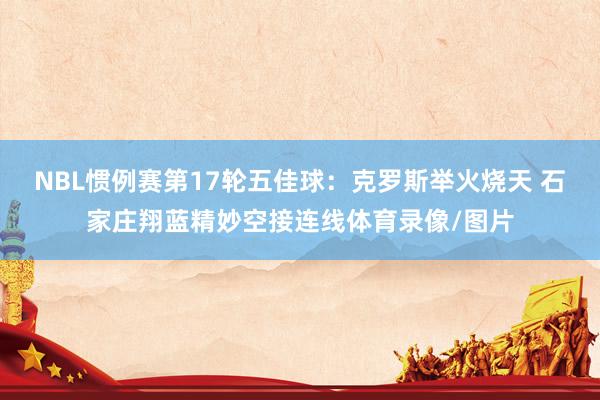 NBL惯例赛第17轮五佳球：克罗斯举火烧天 石家庄翔蓝精妙空接连线体育录像/图片