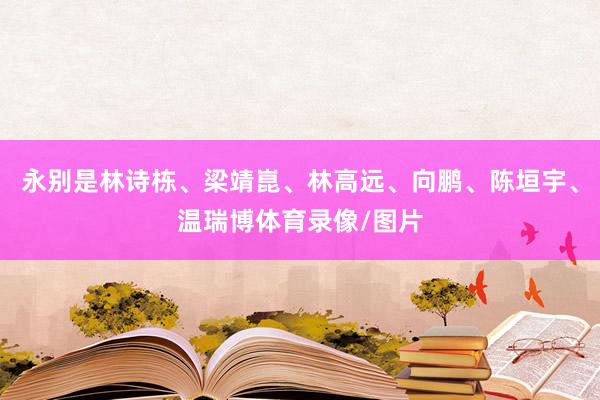 永别是林诗栋、梁靖崑、林高远、向鹏、陈垣宇、温瑞博体育录像/图片