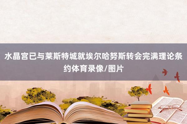 水晶宫已与莱斯特城就埃尔哈努斯转会完满理论条约体育录像/图片