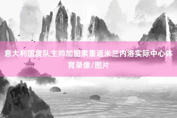 意大利国度队主帅加图索重返米兰内洛实际中心体育录像/图片