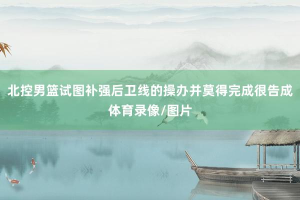北控男篮试图补强后卫线的操办并莫得完成很告成体育录像/图片