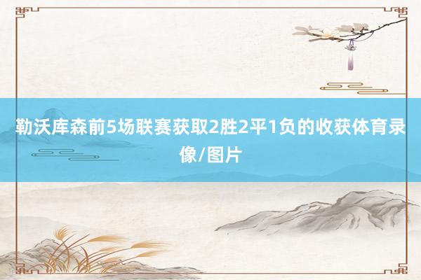 勒沃库森前5场联赛获取2胜2平1负的收获体育录像/图片