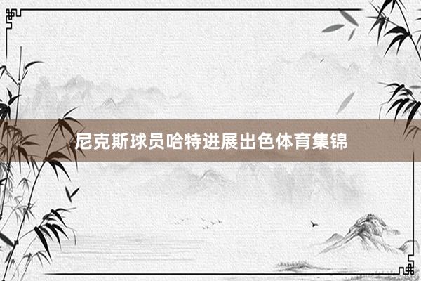 尼克斯球员哈特进展出色体育集锦