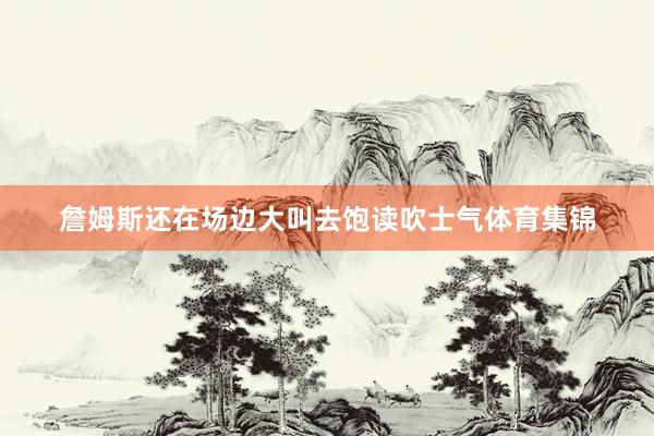 詹姆斯还在场边大叫去饱读吹士气体育集锦
