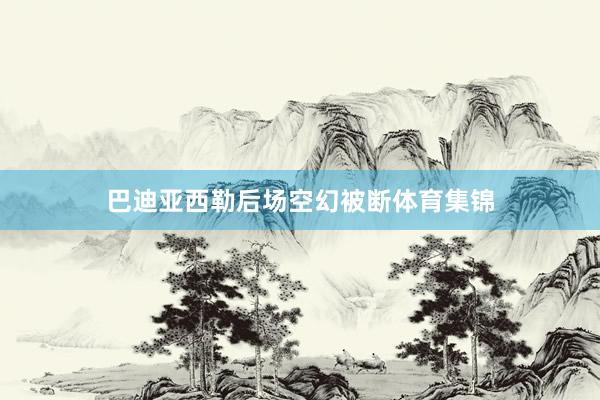 巴迪亚西勒后场空幻被断体育集锦