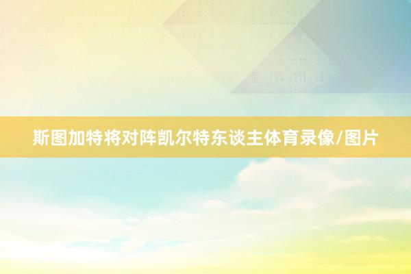 斯图加特将对阵凯尔特东谈主体育录像/图片