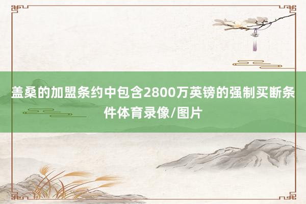盖桑的加盟条约中包含2800万英镑的强制买断条件体育录像/图片