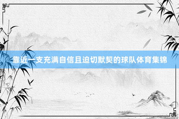 靠近一支充满自信且迫切默契的球队体育集锦