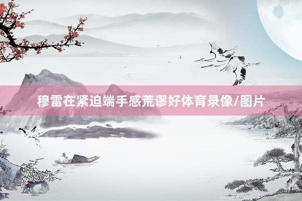穆雷在紧迫端手感荒谬好体育录像/图片