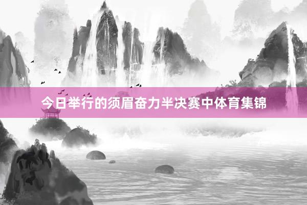 今日举行的须眉奋力半决赛中体育集锦
