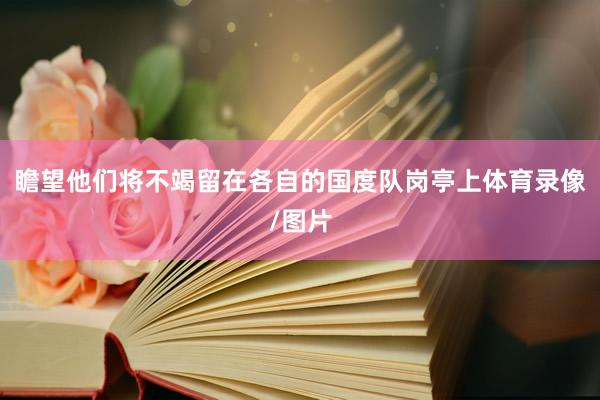 瞻望他们将不竭留在各自的国度队岗亭上体育录像/图片