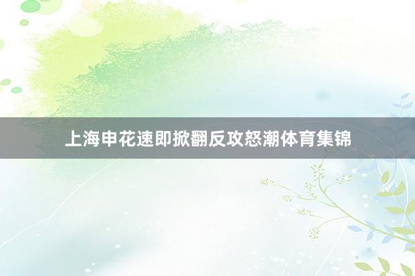 上海申花速即掀翻反攻怒潮体育集锦