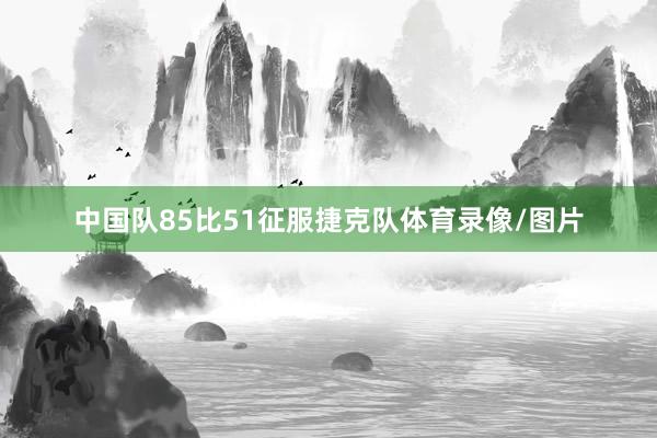 中国队85比51征服捷克队体育录像/图片