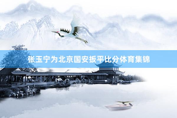 张玉宁为北京国安扳平比分体育集锦